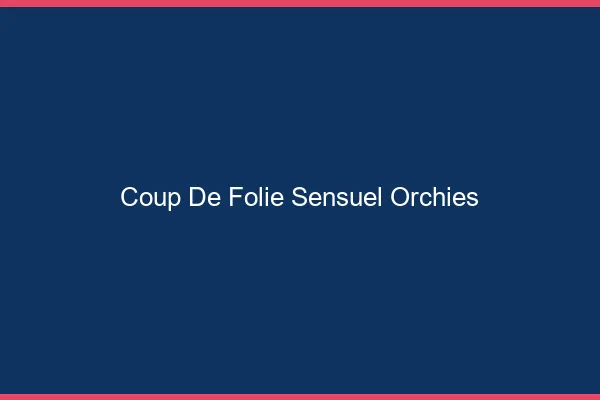 Coup de Folie Sensuel Orchies