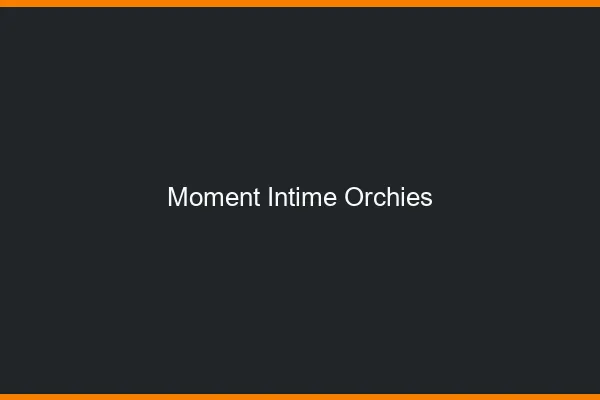 Moment Intime Orchies