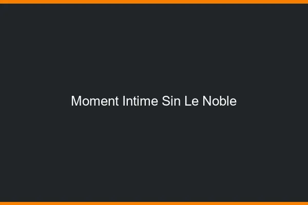 Moment Intime Sin-le-Noble