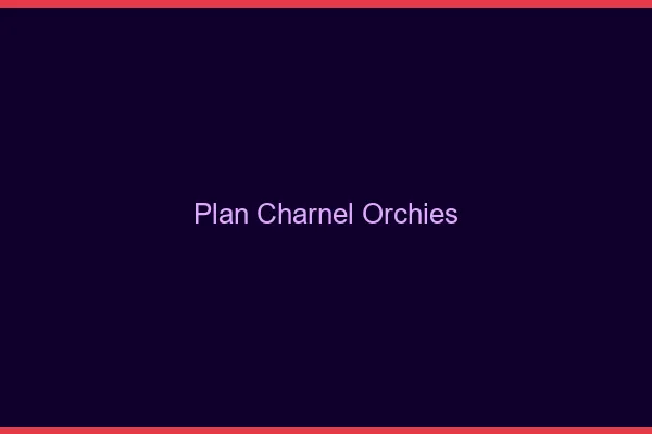 Plan Charnel Orchies