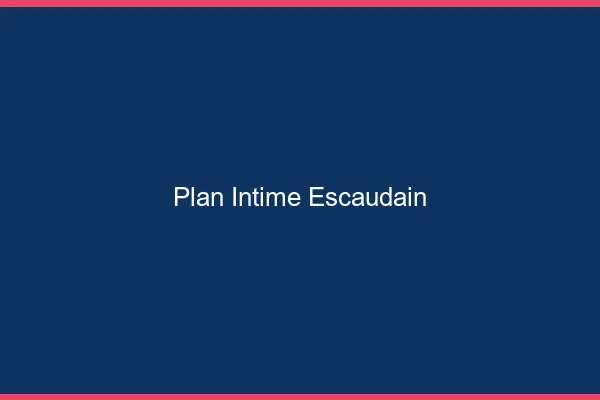Plan Intime Escaudain