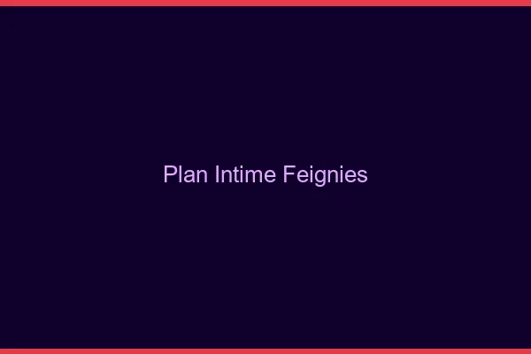 Plan Intime Feignies