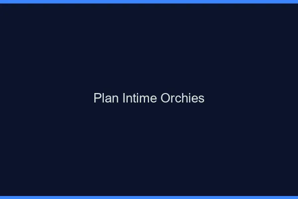 Plan Intime Orchies