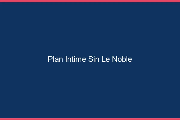 Plan Intime Sin-le-Noble