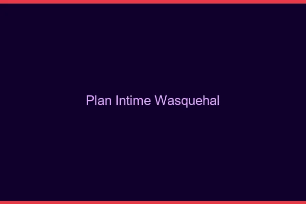 Plan Intime Wasquehal